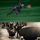 Image for article titled Watch Benedict Cumberbatch's Sherlock Fall Into Everything Everywhere